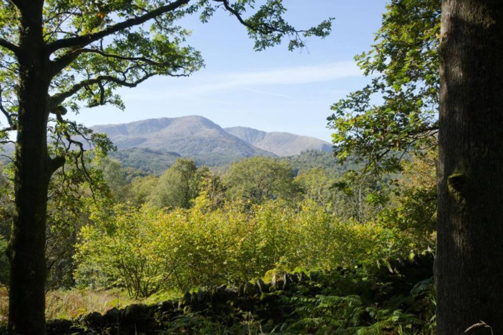 Pippins 7 Neaum Crag Apartamento Ambleside Exterior foto